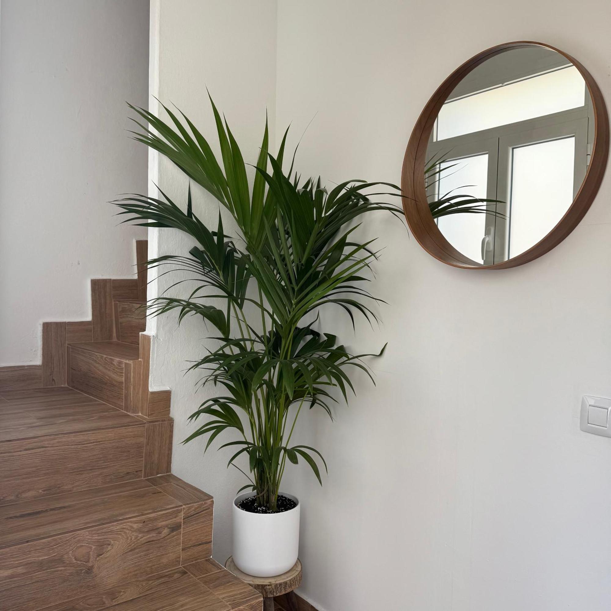 Casa Yeye City Loft Agaete  Luaran gambar
